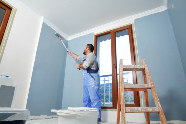 Best Painting for New Construction  in Cannon Falls, MN