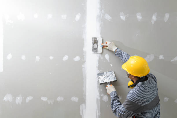 Best Custom Drywall Designs  in Cannon Falls, MN