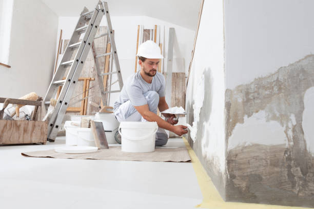 Best Ceiling Drywall Installation  in Cannon Falls, MN