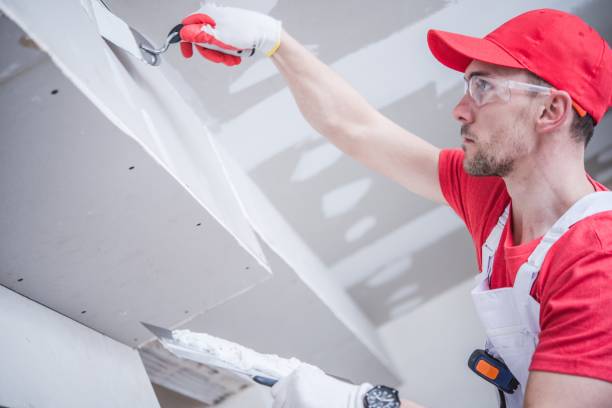 Best Ceiling Drywall Installation  in Cannon Falls, MN